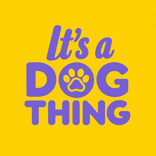 Purple with Silver Hardware Padded Lead. - It's a Dog Thing
