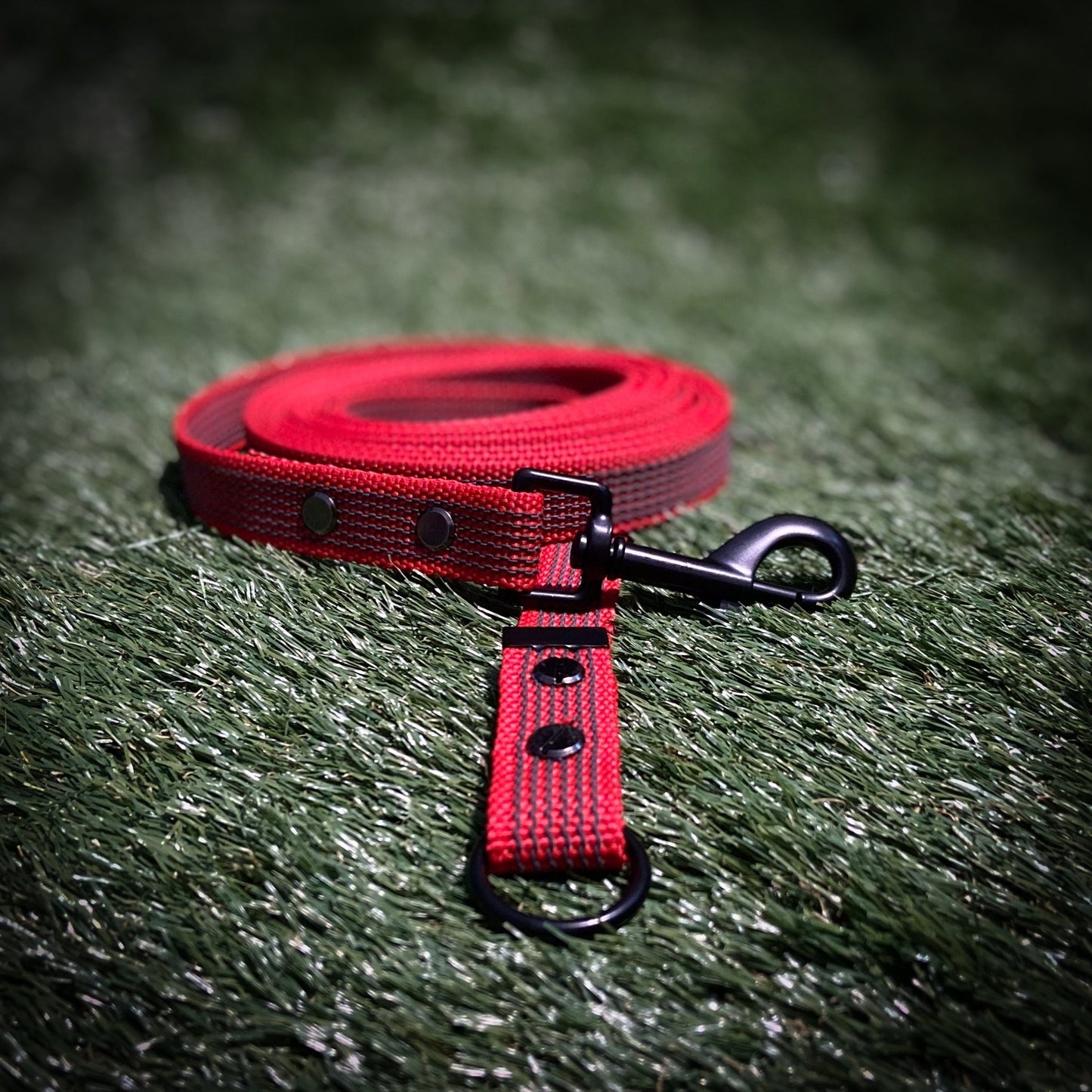 Red 3 Metre Scentwork Line. - It's a Dog Thing