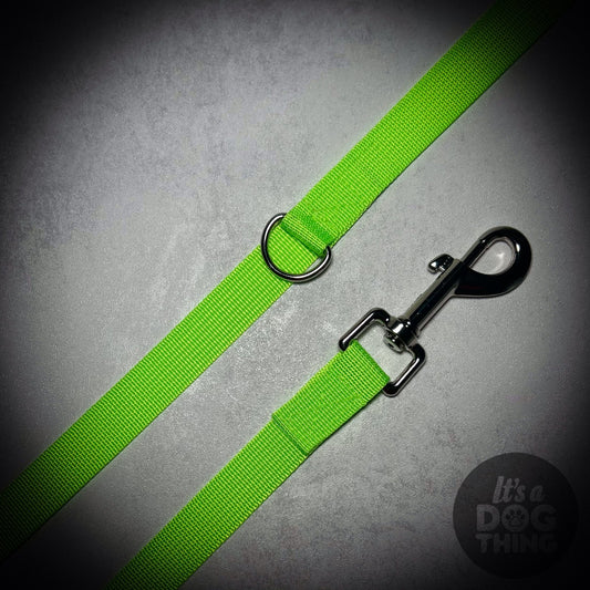 Neon Green Lead With Silver Hardware - It's a Dog Thing