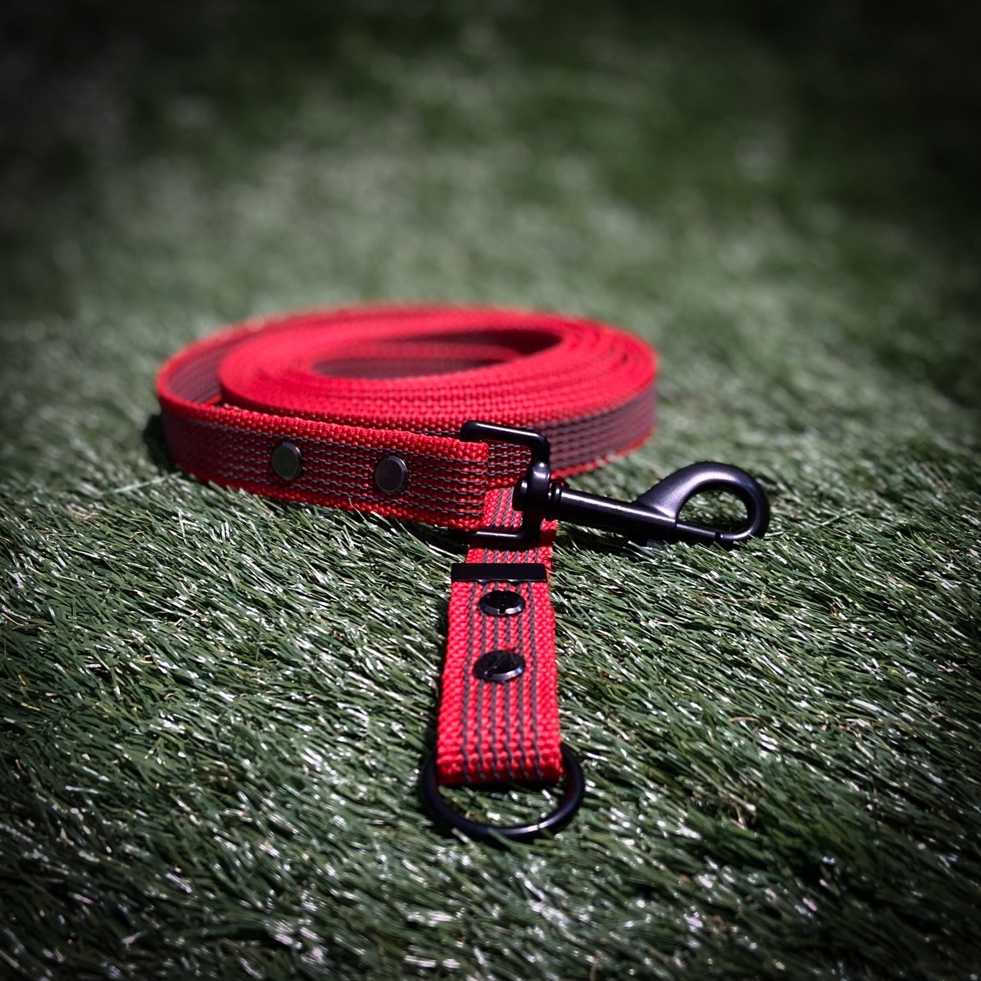 Red 3 Metre Scentwork Line. - It's a Dog Thing