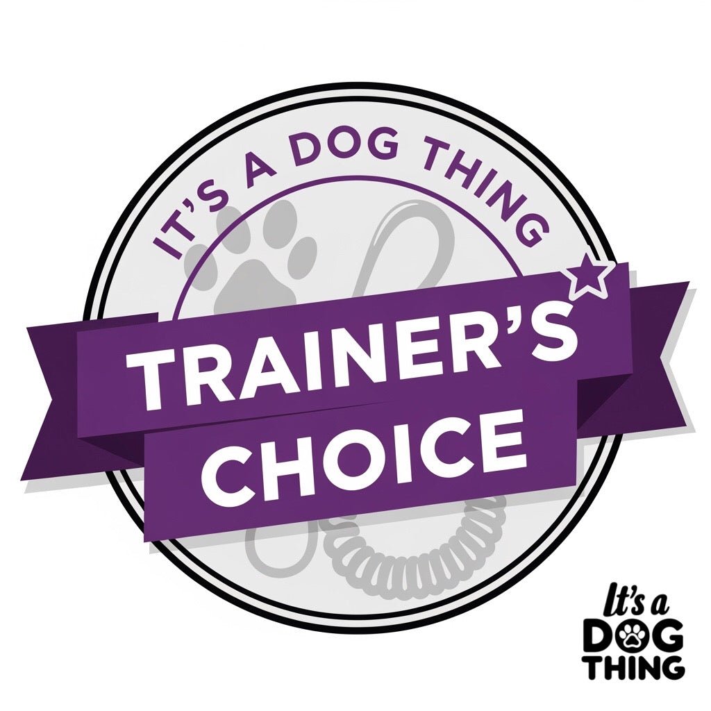 Red with Silver Hardware Multi - Functional Training Lead - It's a Dog Thing